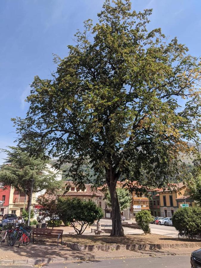 Hotel La Plaza 普罗阿萨 外观 照片